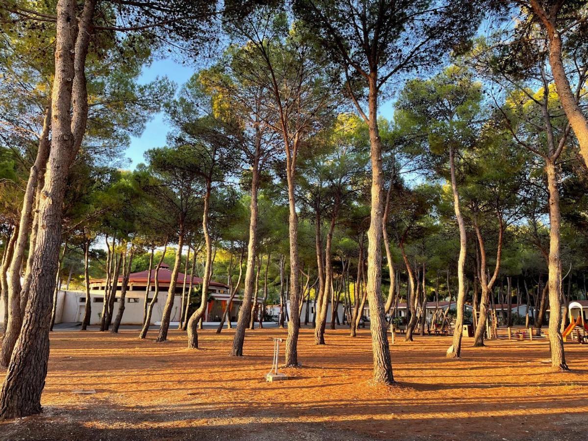 Hotel Portonuovo Βιέστε Εξωτερικό φωτογραφία